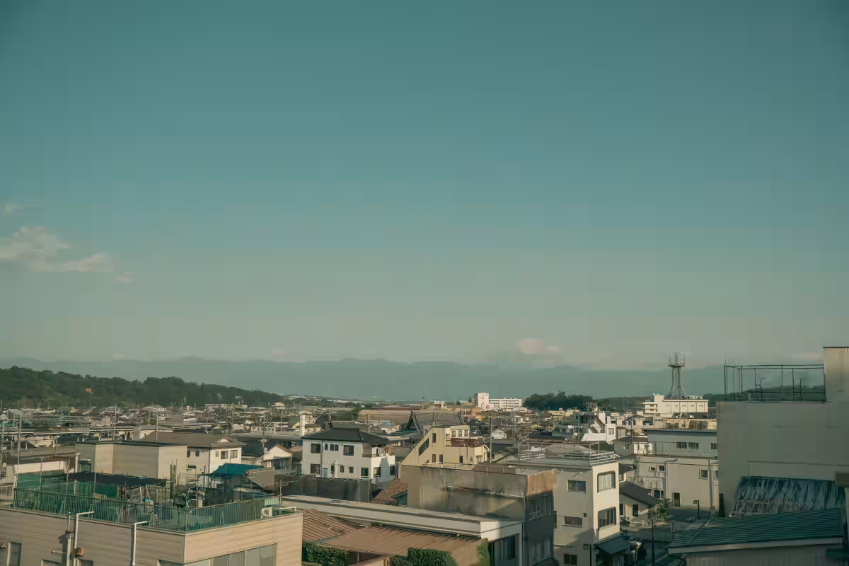 画像6