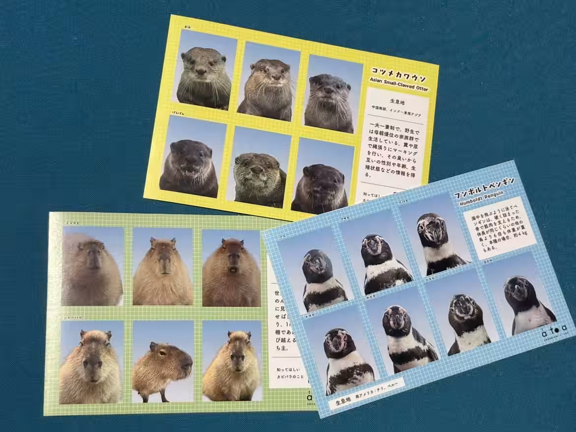 画像11