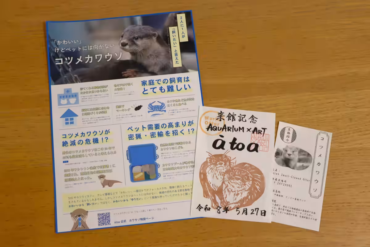 画像5