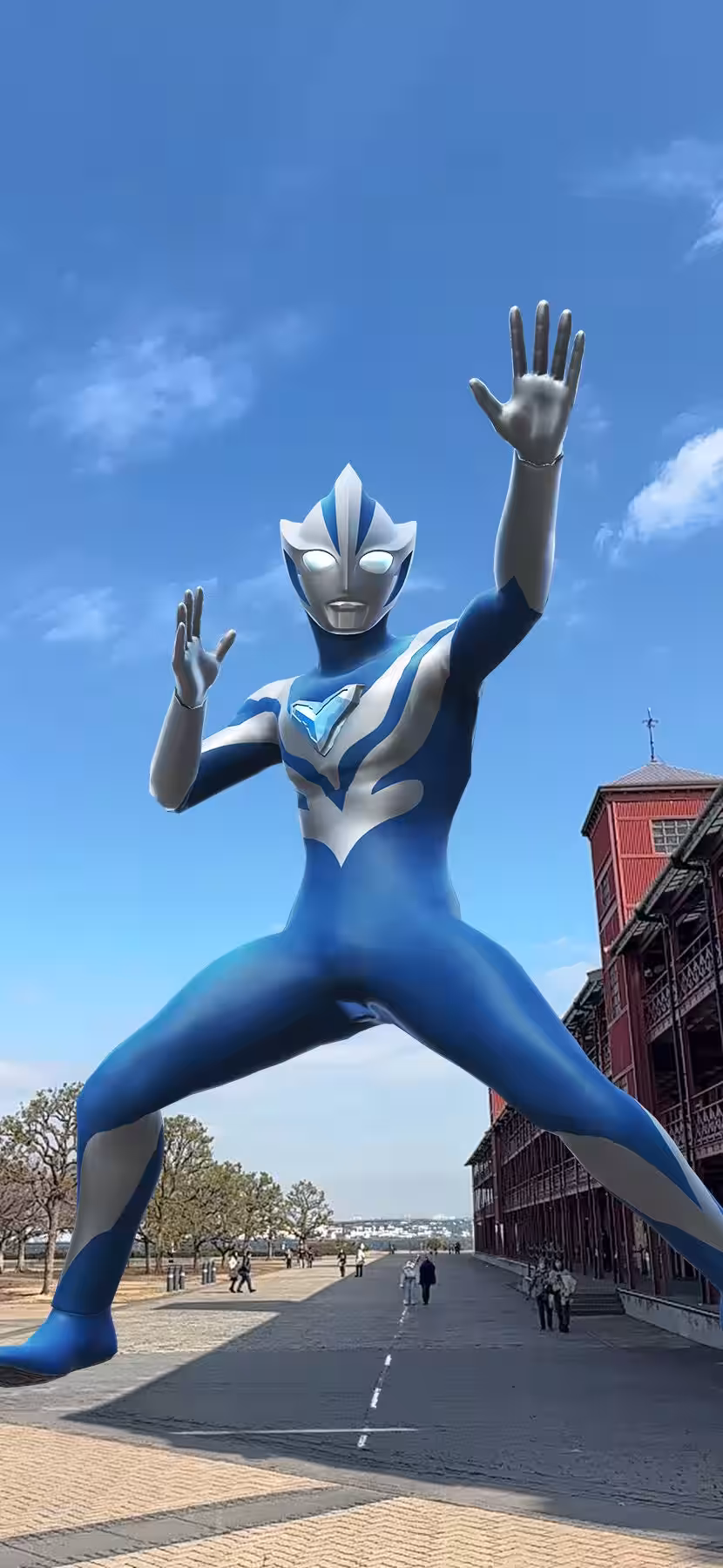 画像8