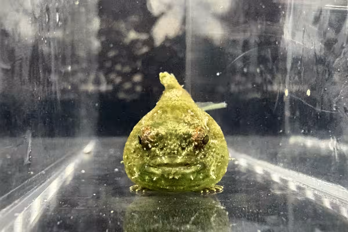 画像16
