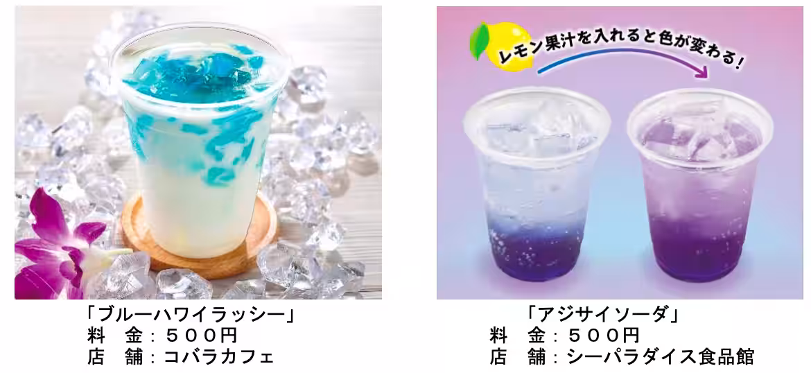画像19