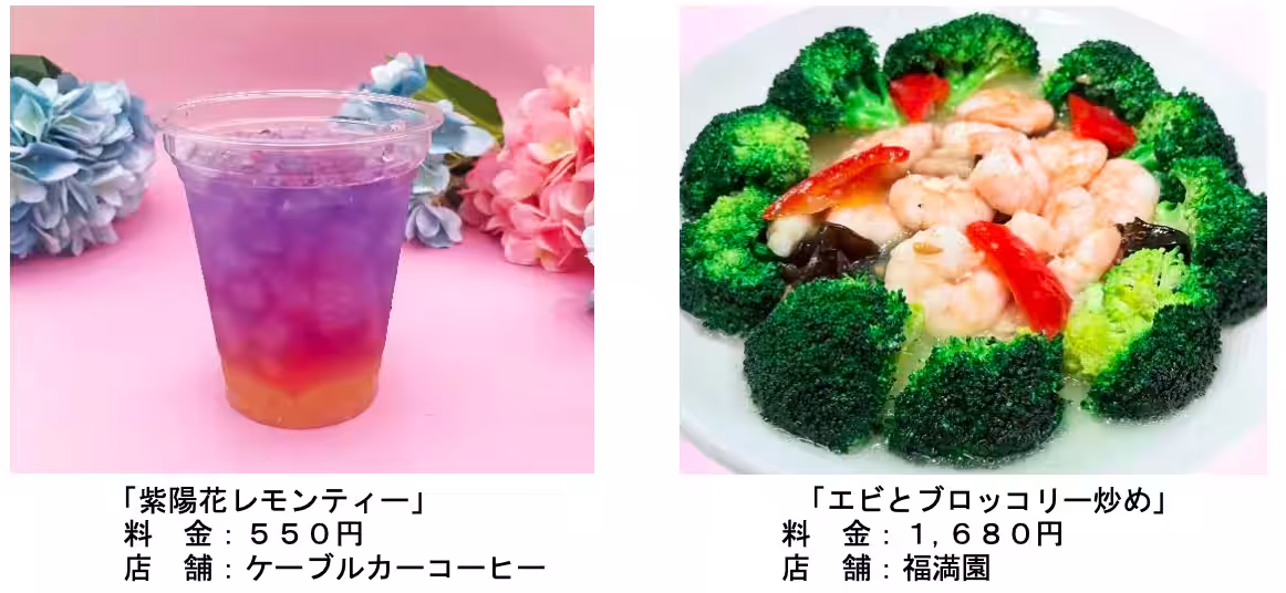 画像20