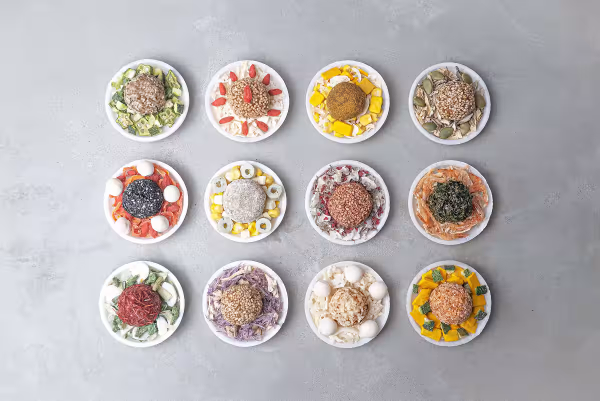 画像15