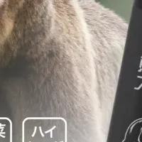 熊撃退スプレー登場！