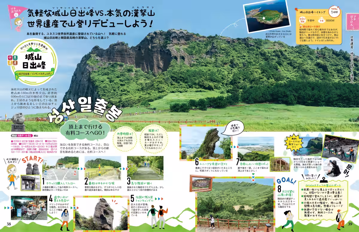 画像4