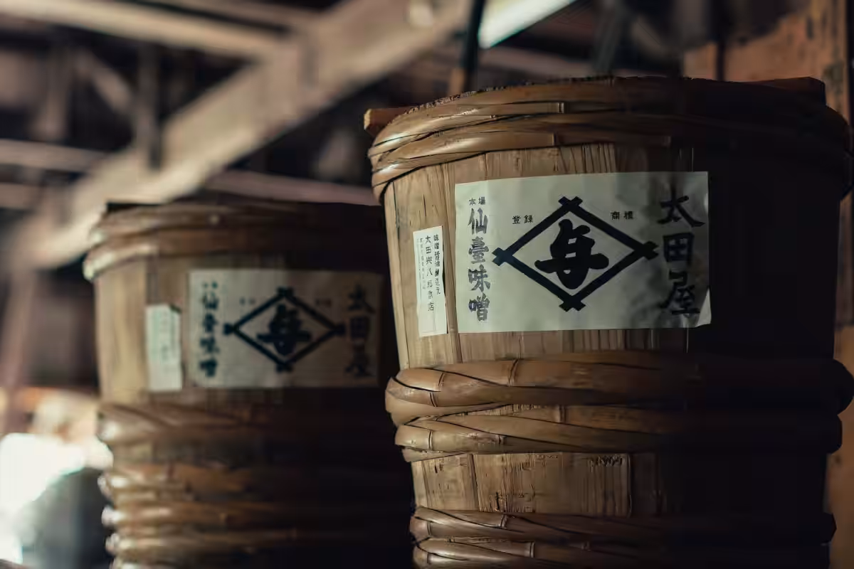 画像12