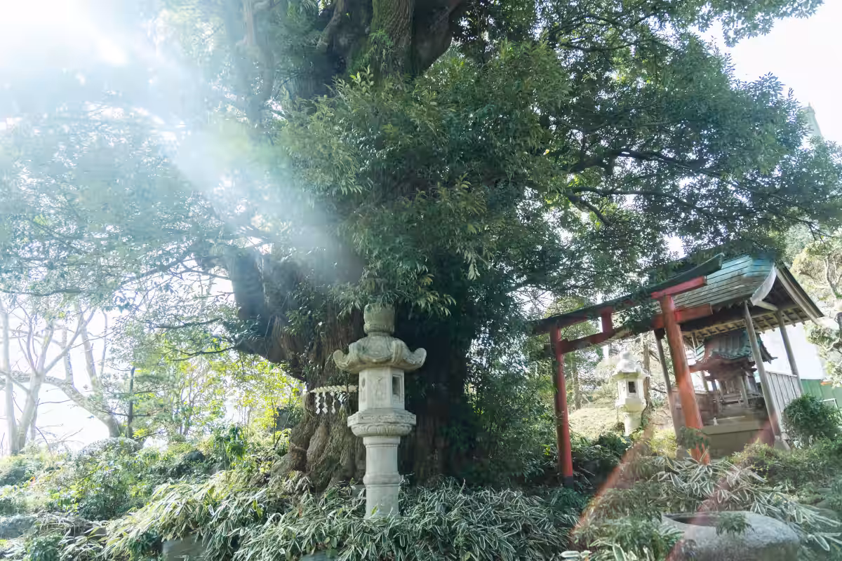 画像15