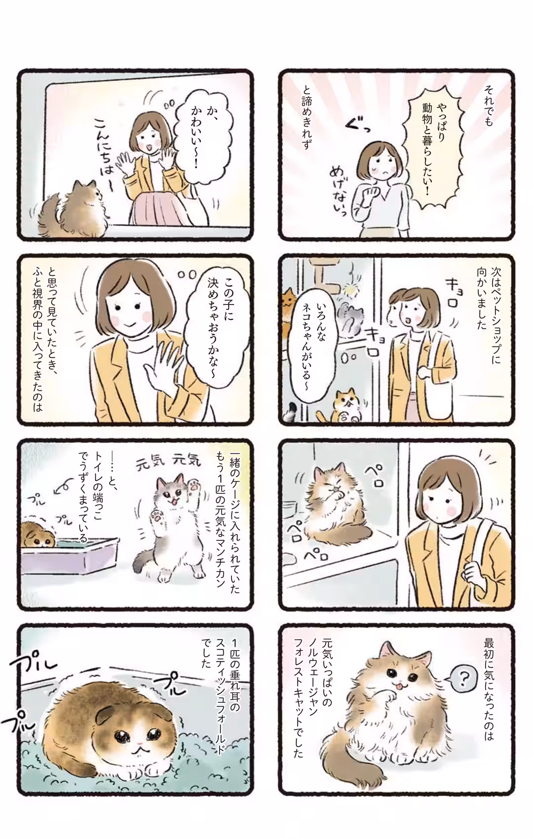 画像6