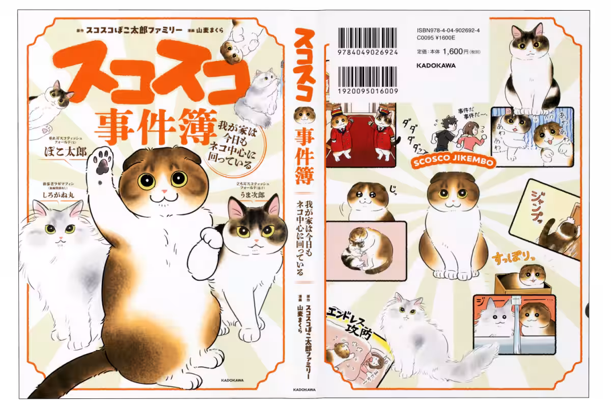 画像16