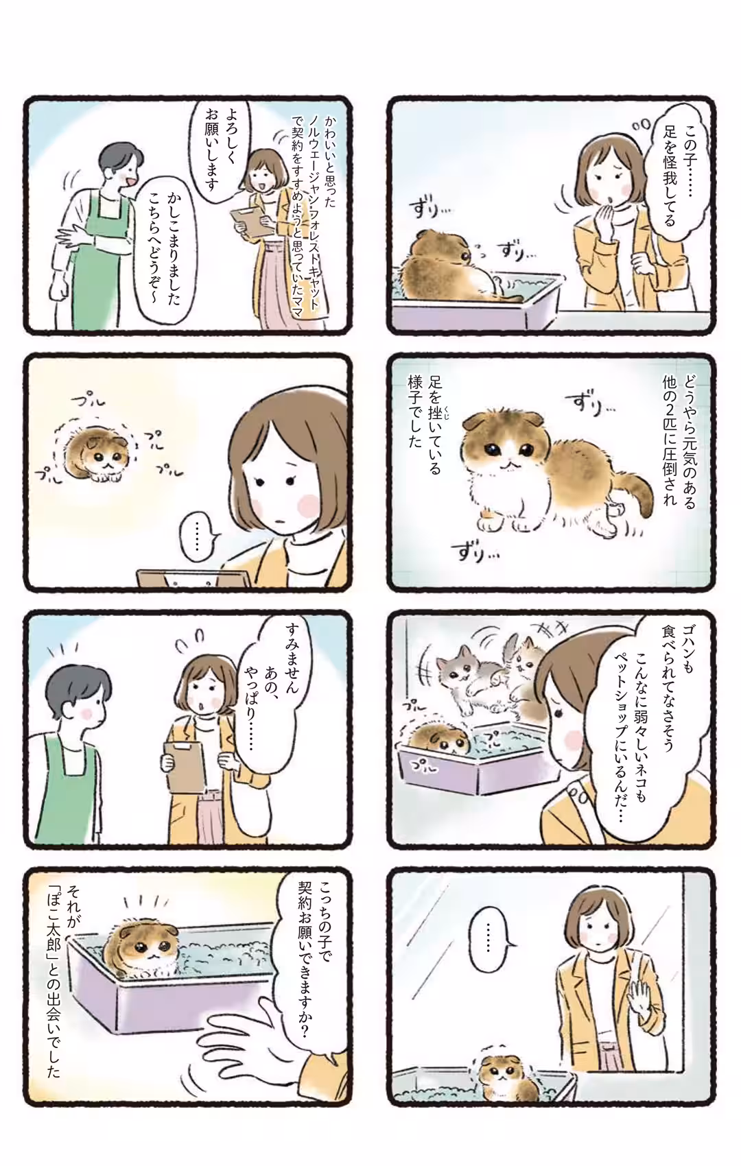 画像7