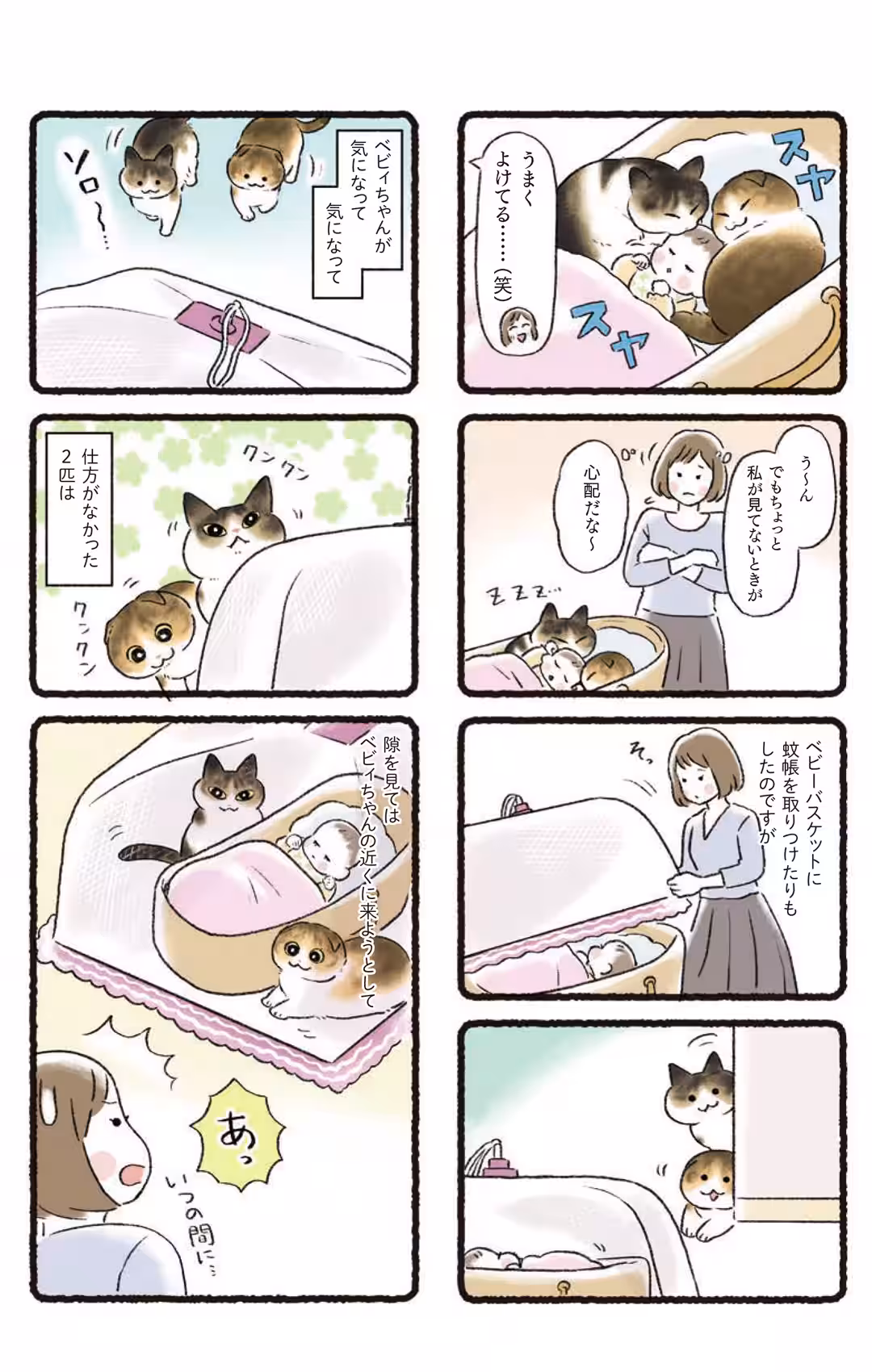 画像9