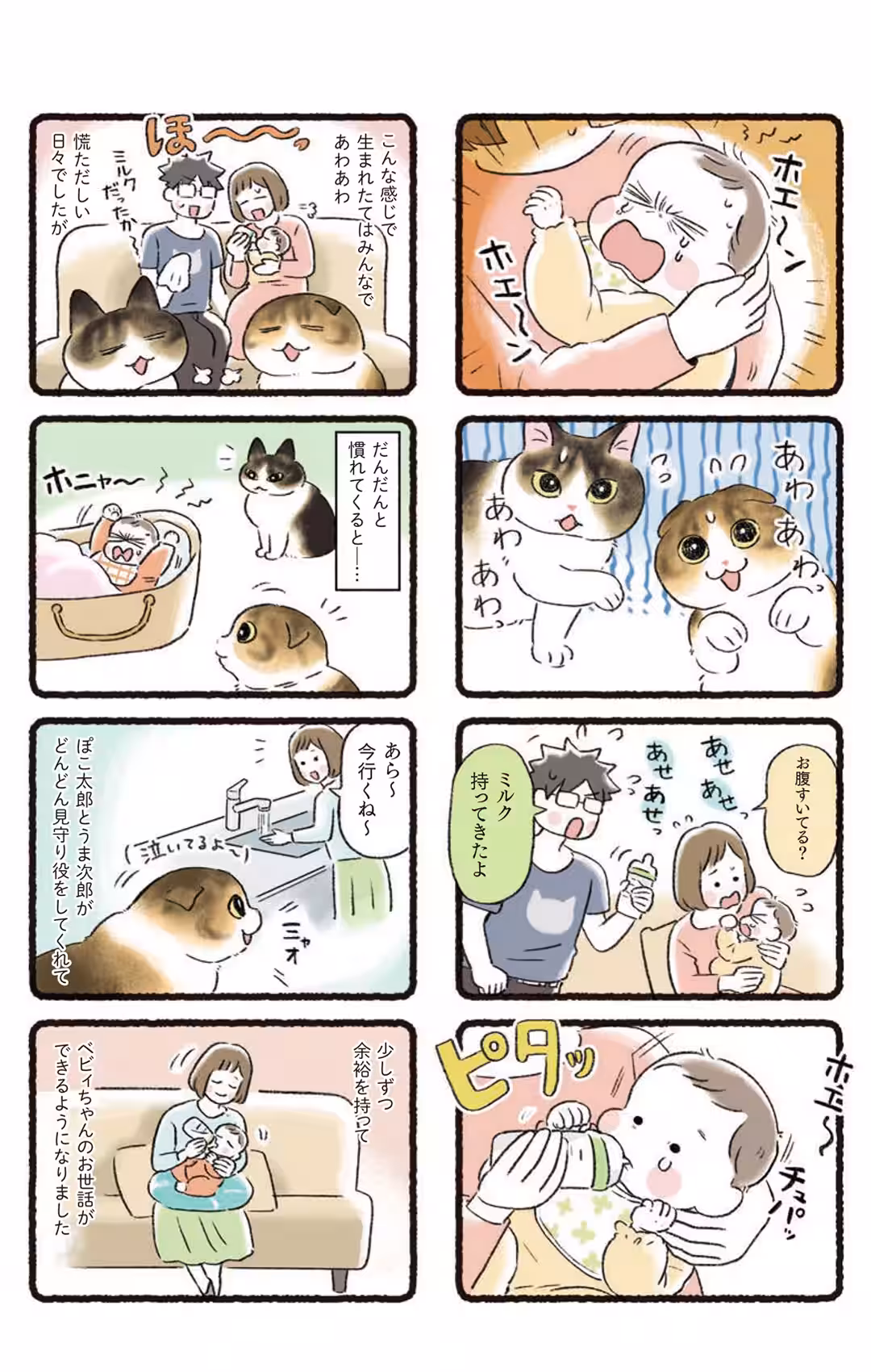 画像11