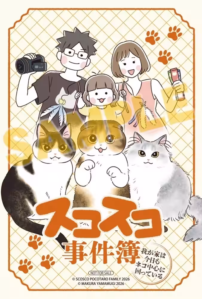 画像17