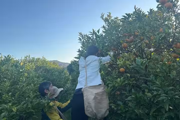 画像9