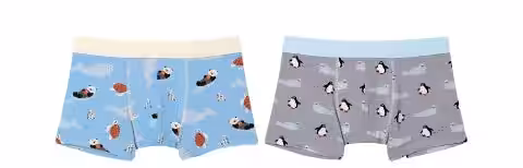 画像15