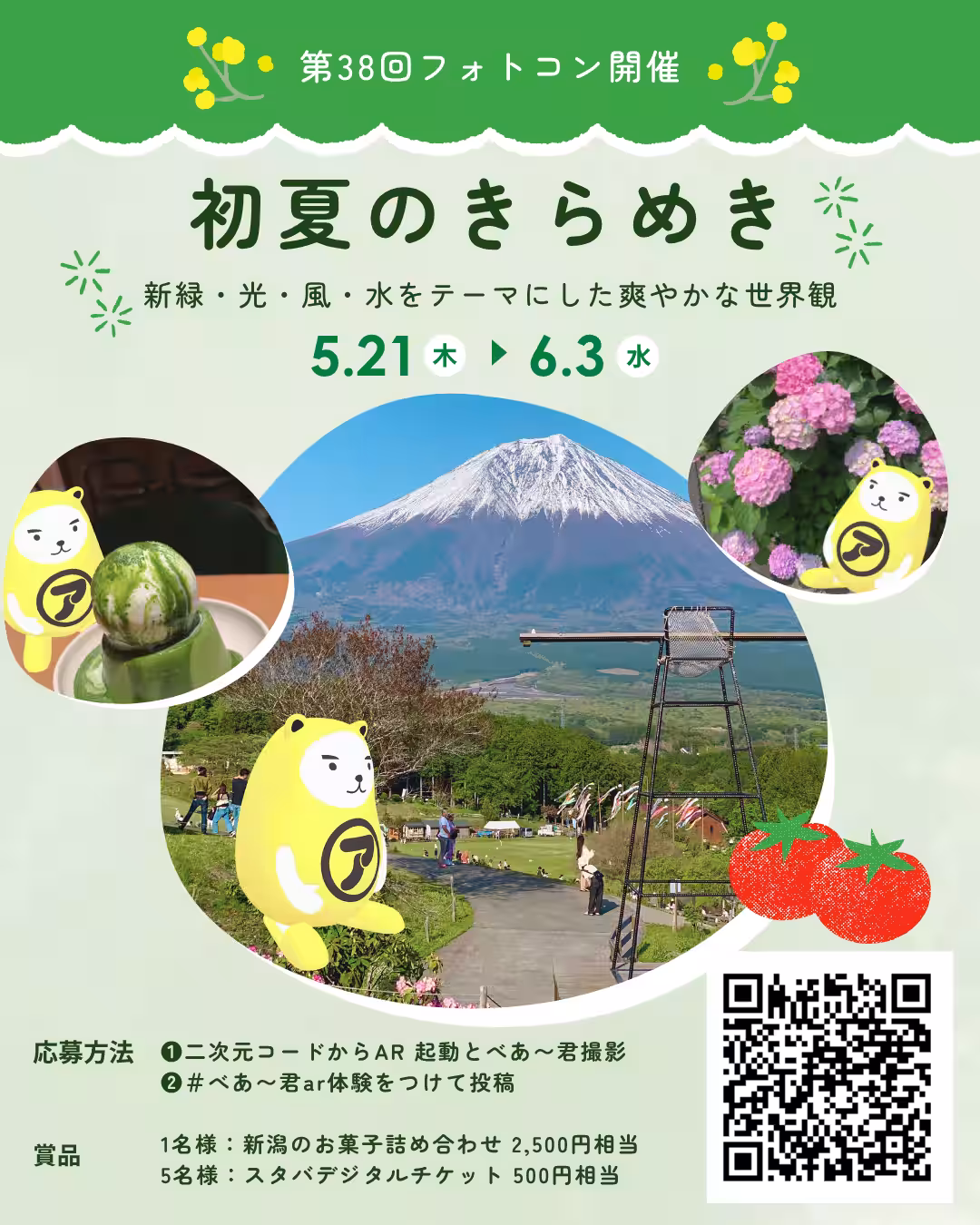 画像1