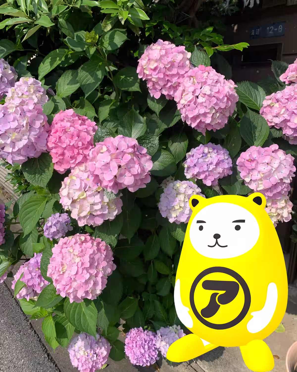 画像5