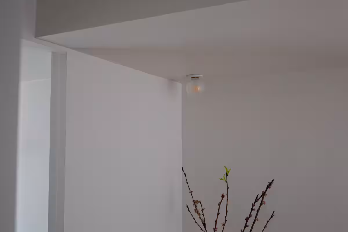 画像11