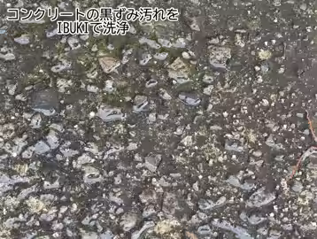 画像11