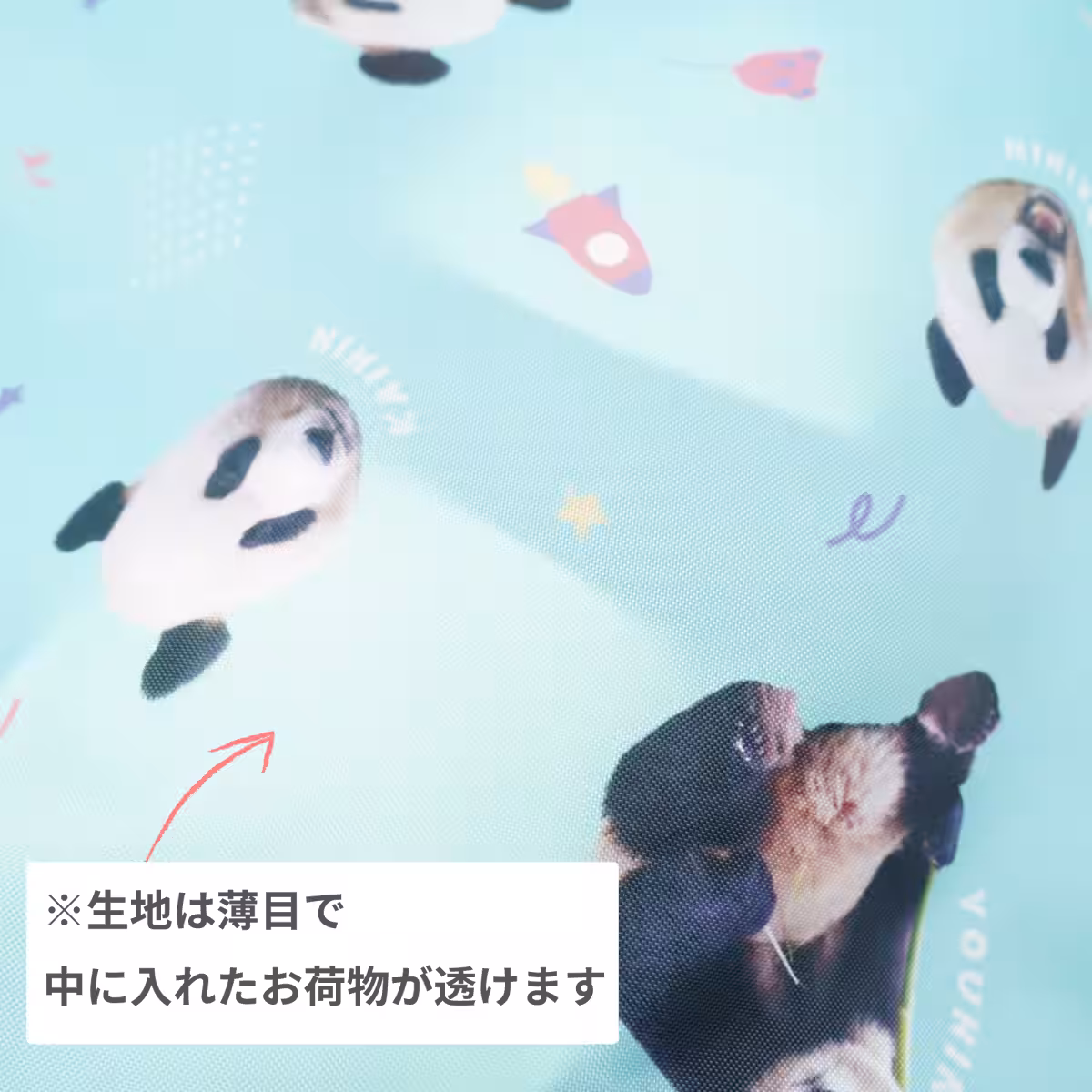 画像21