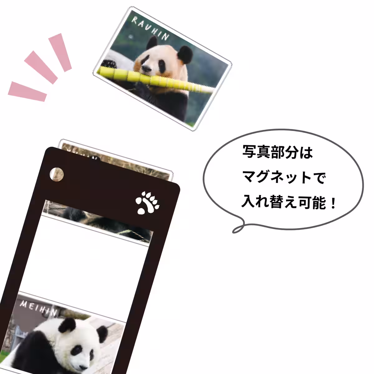 画像19