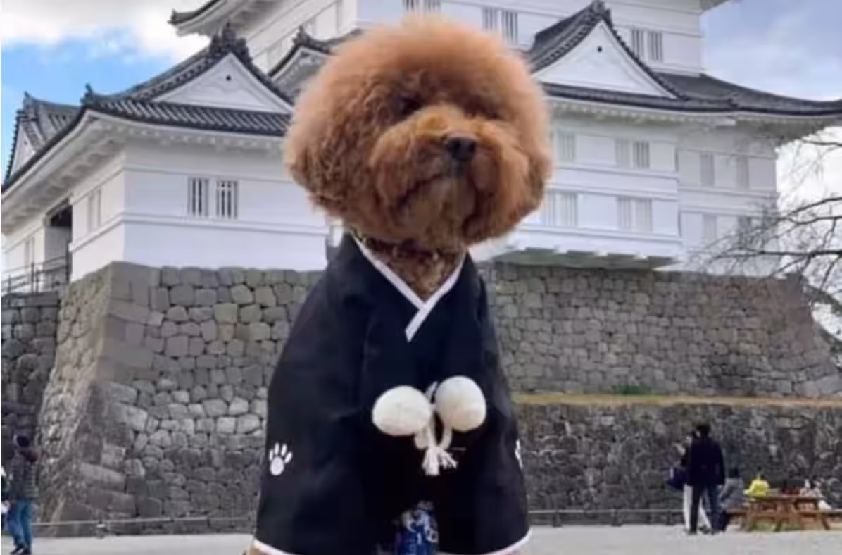 画像3
