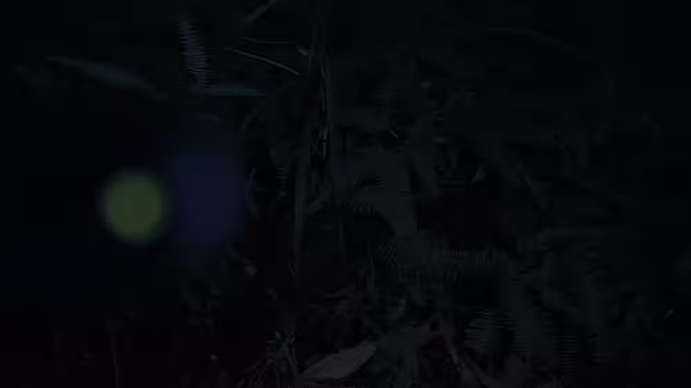 画像12