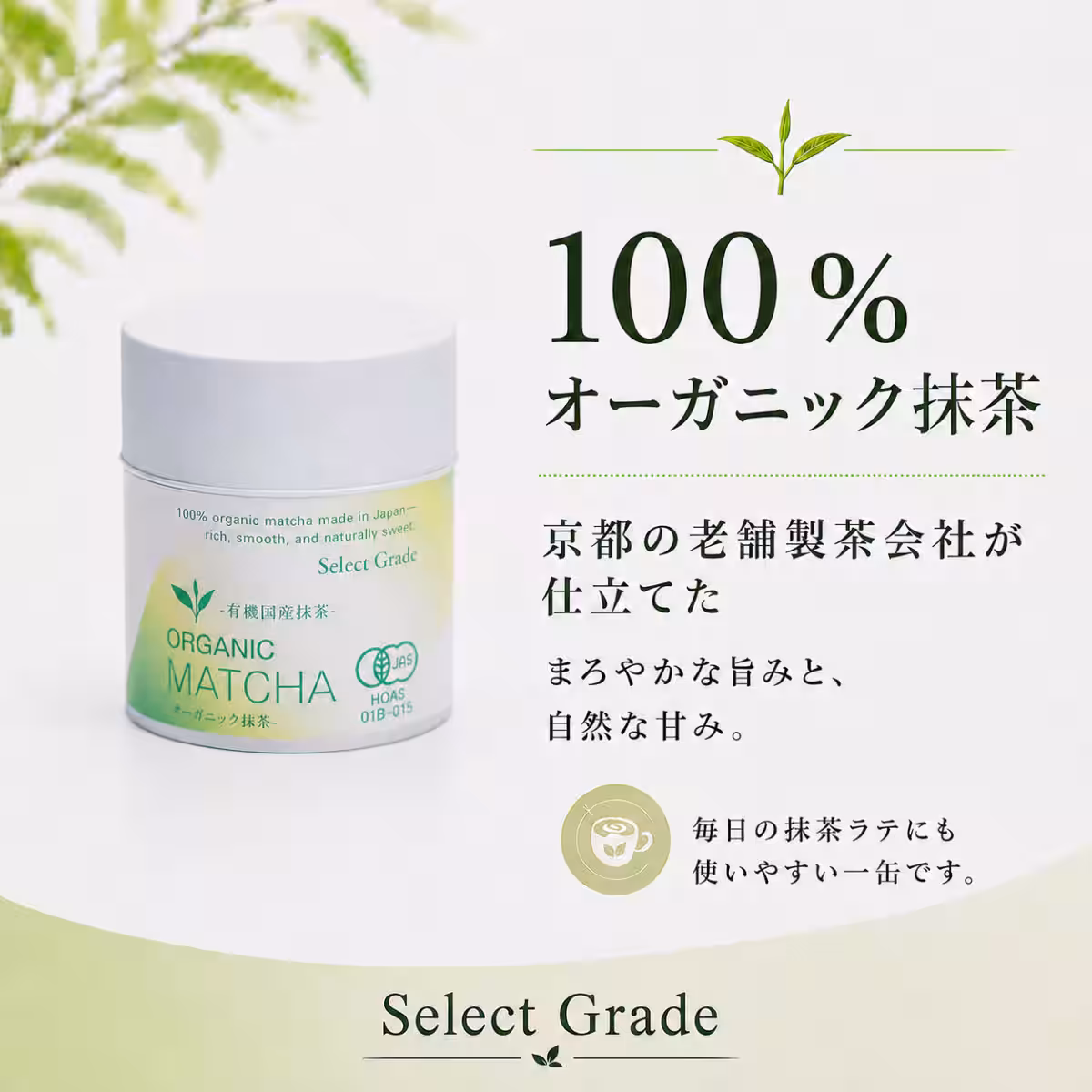 画像8