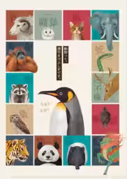 画像14