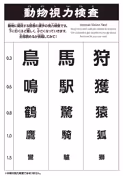 画像8