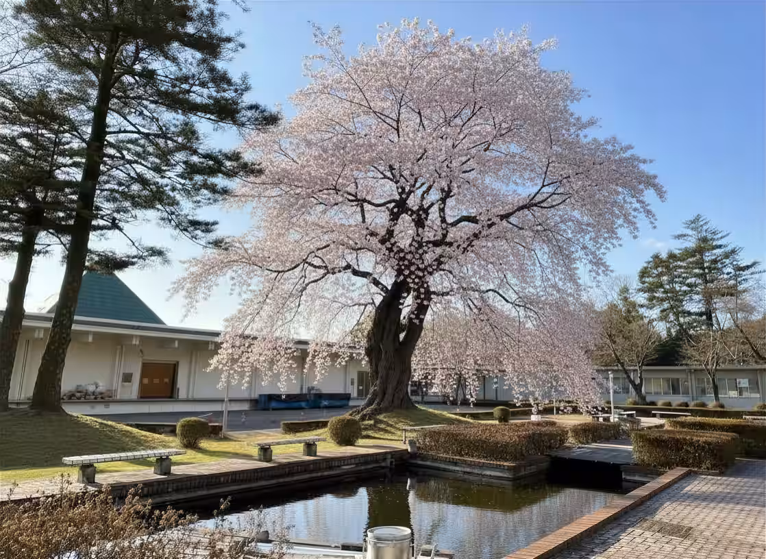 画像4