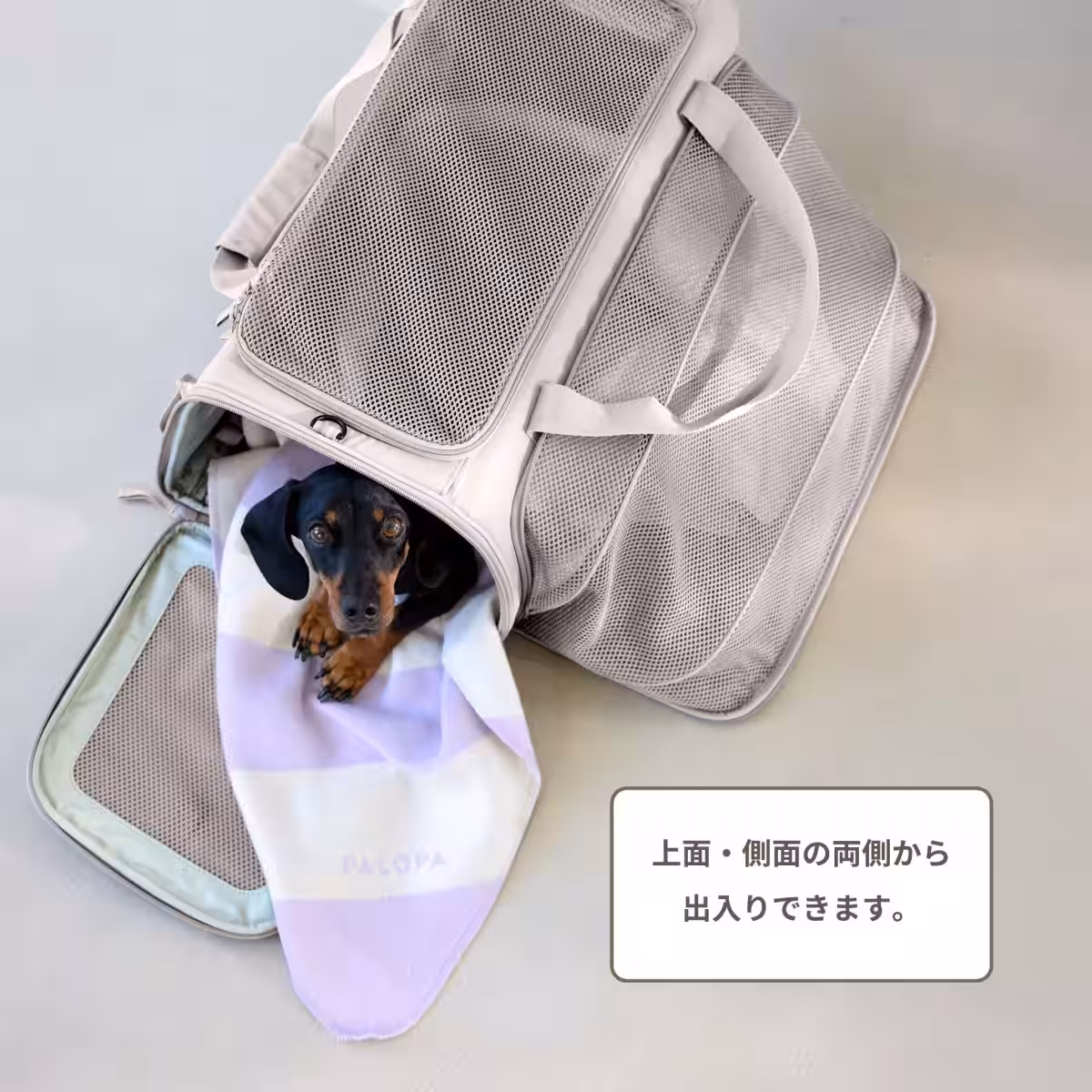画像18