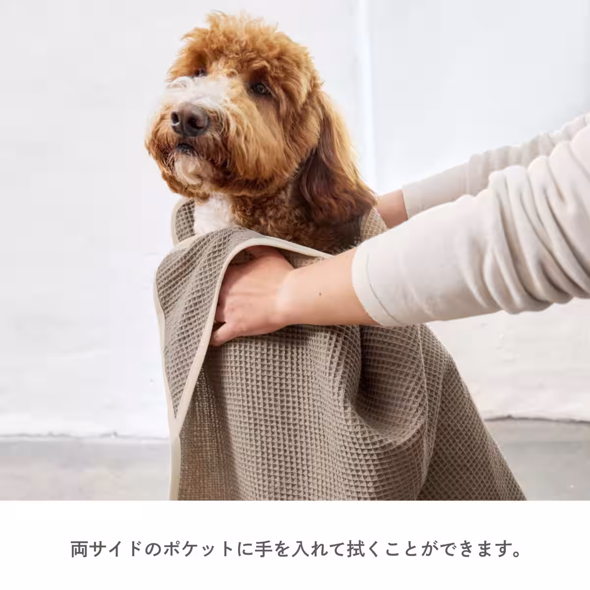 画像9
