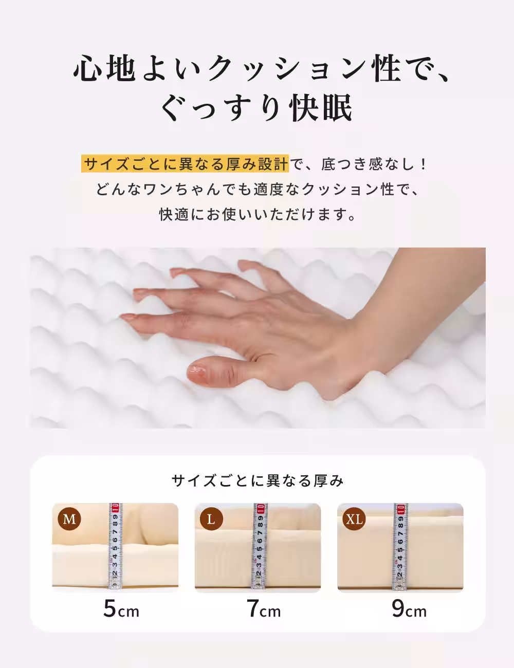 画像11