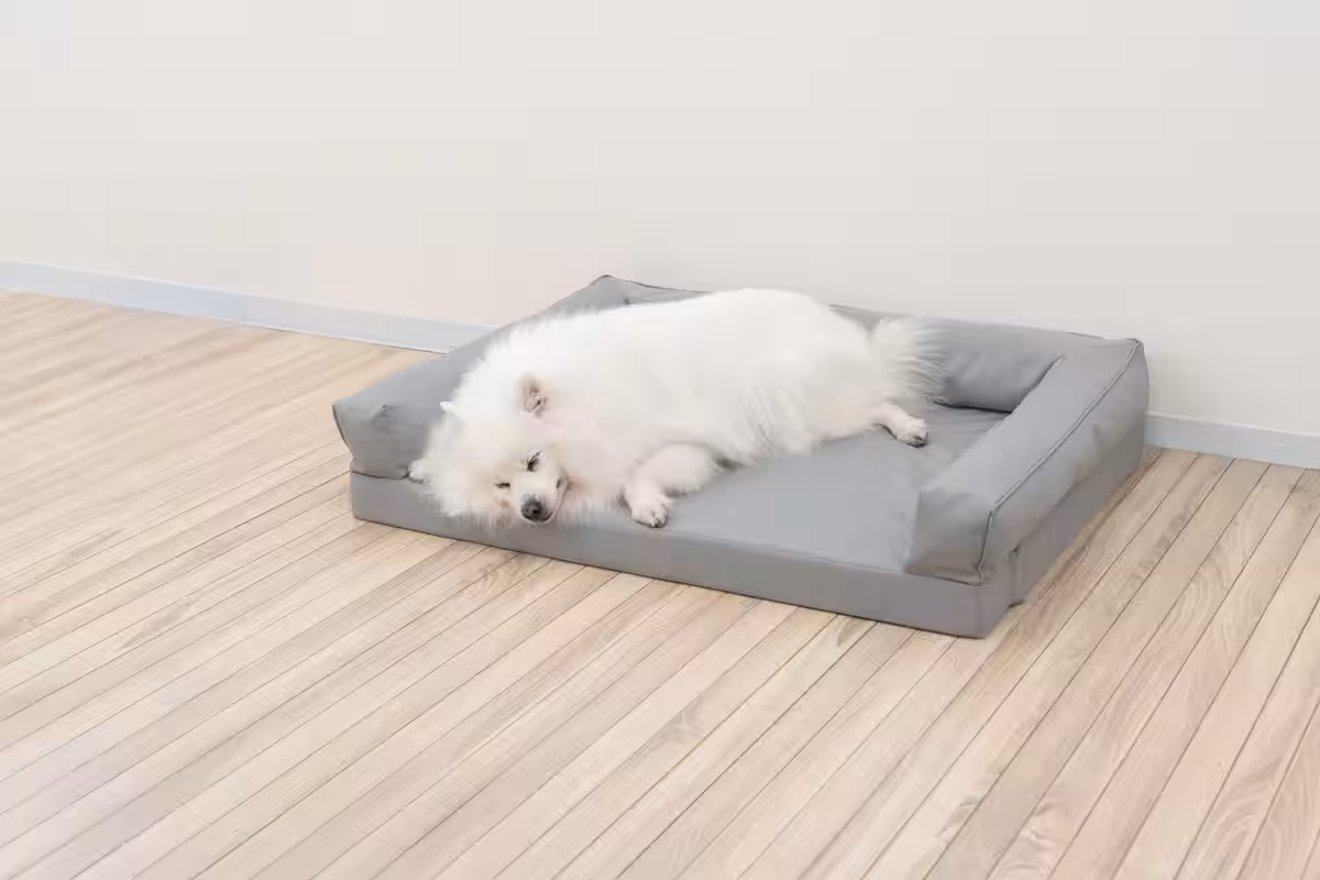 画像13