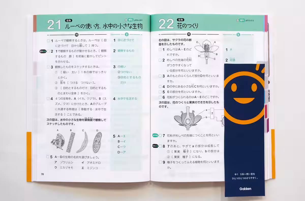 画像5