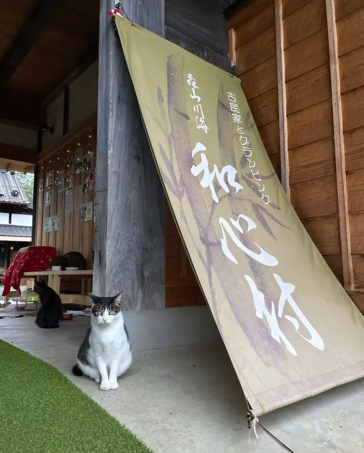 画像14