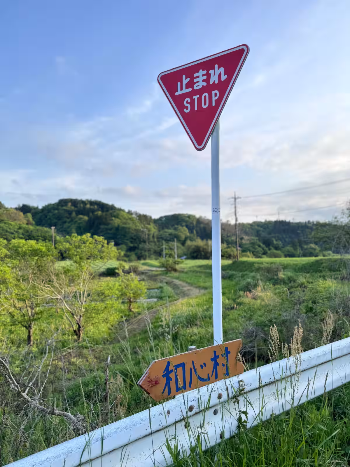 画像12