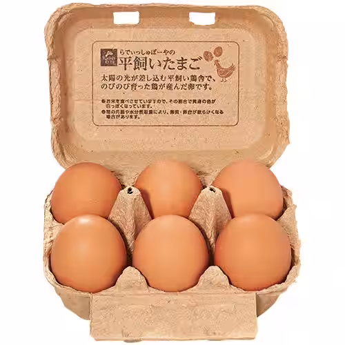 画像5