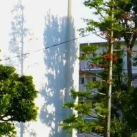 地域連携演習事業