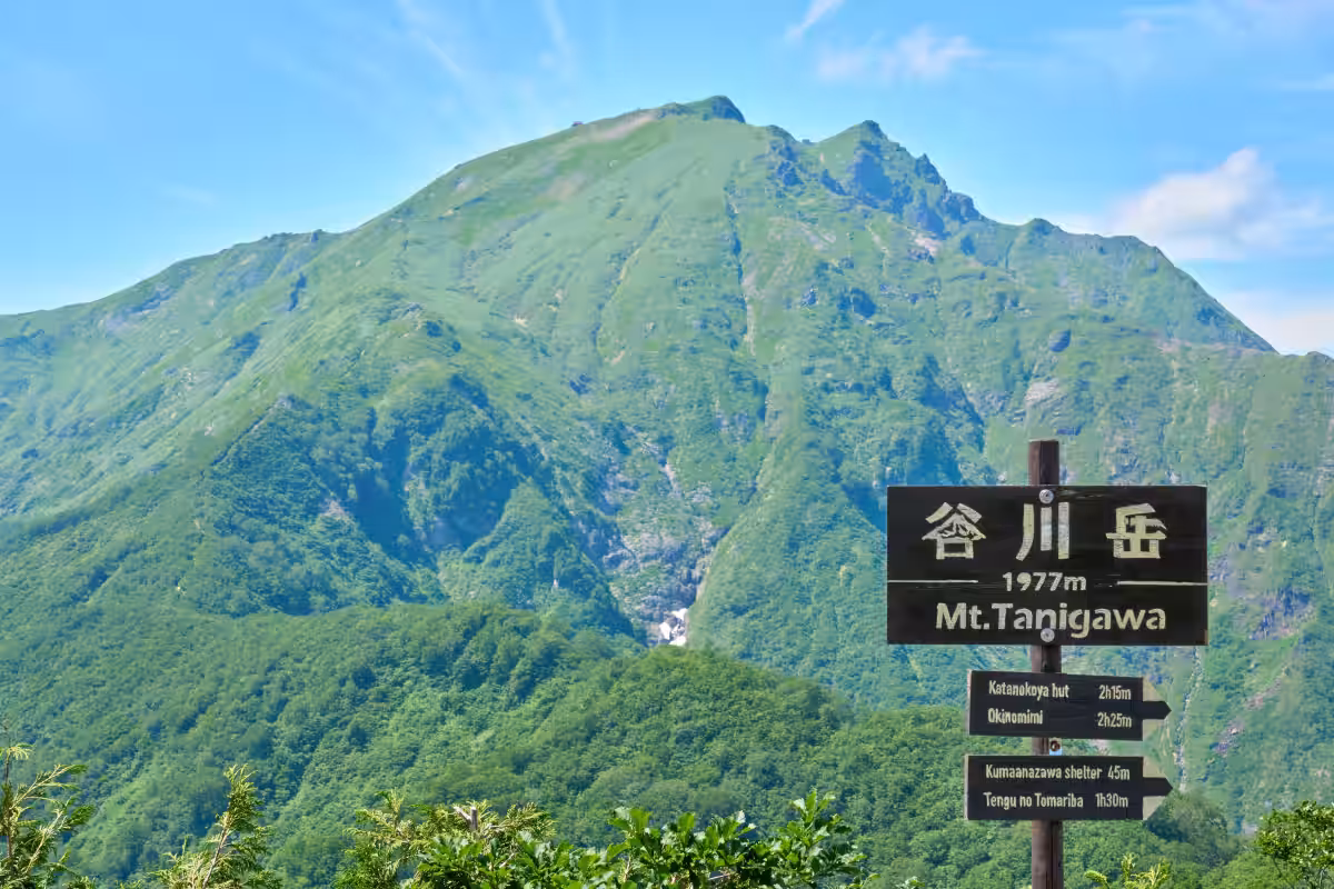 画像6