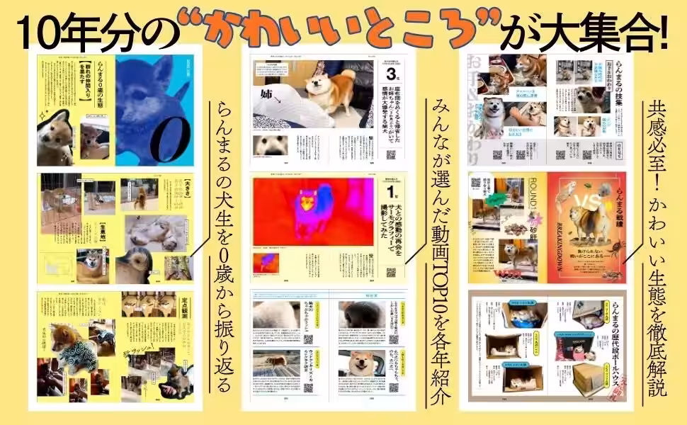 画像5