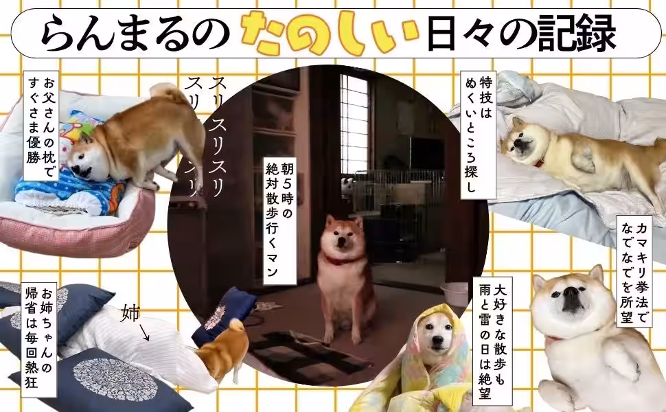 画像4