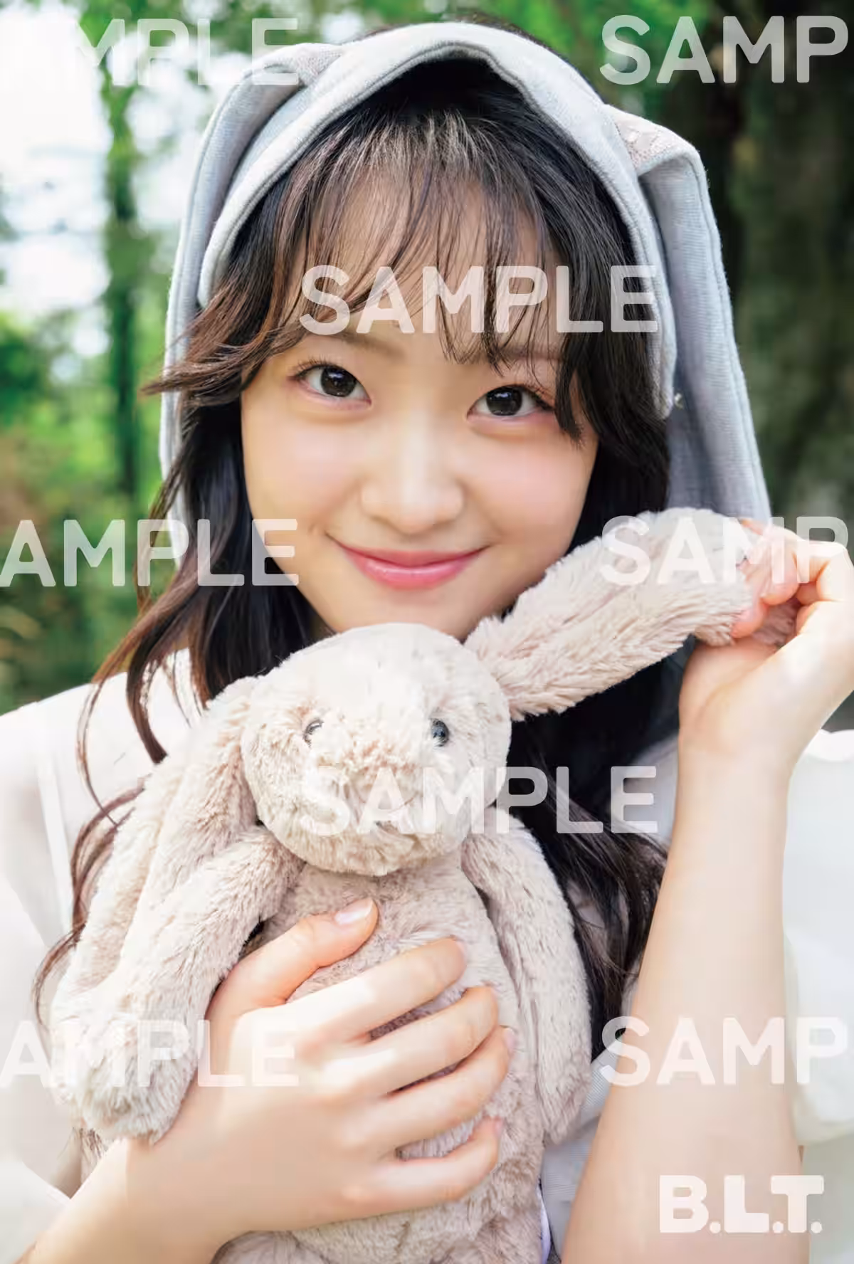 画像14