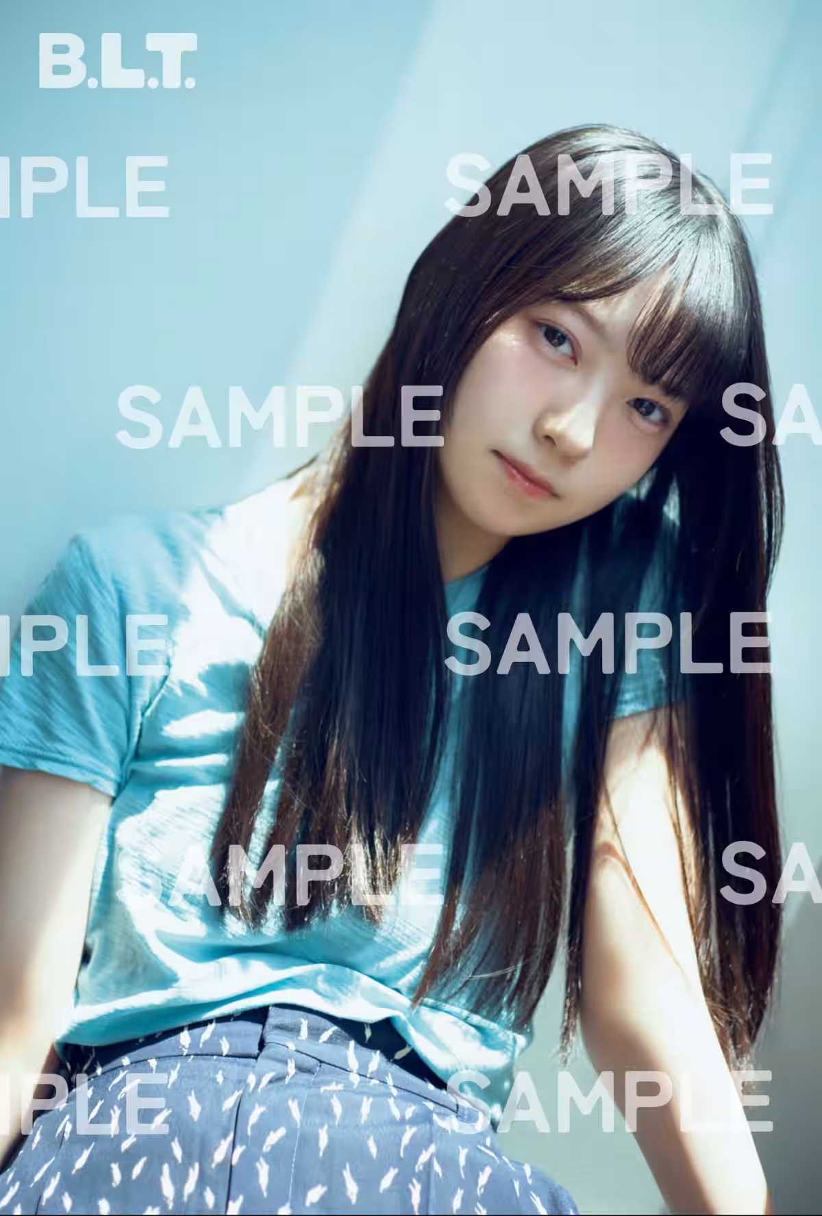 画像12