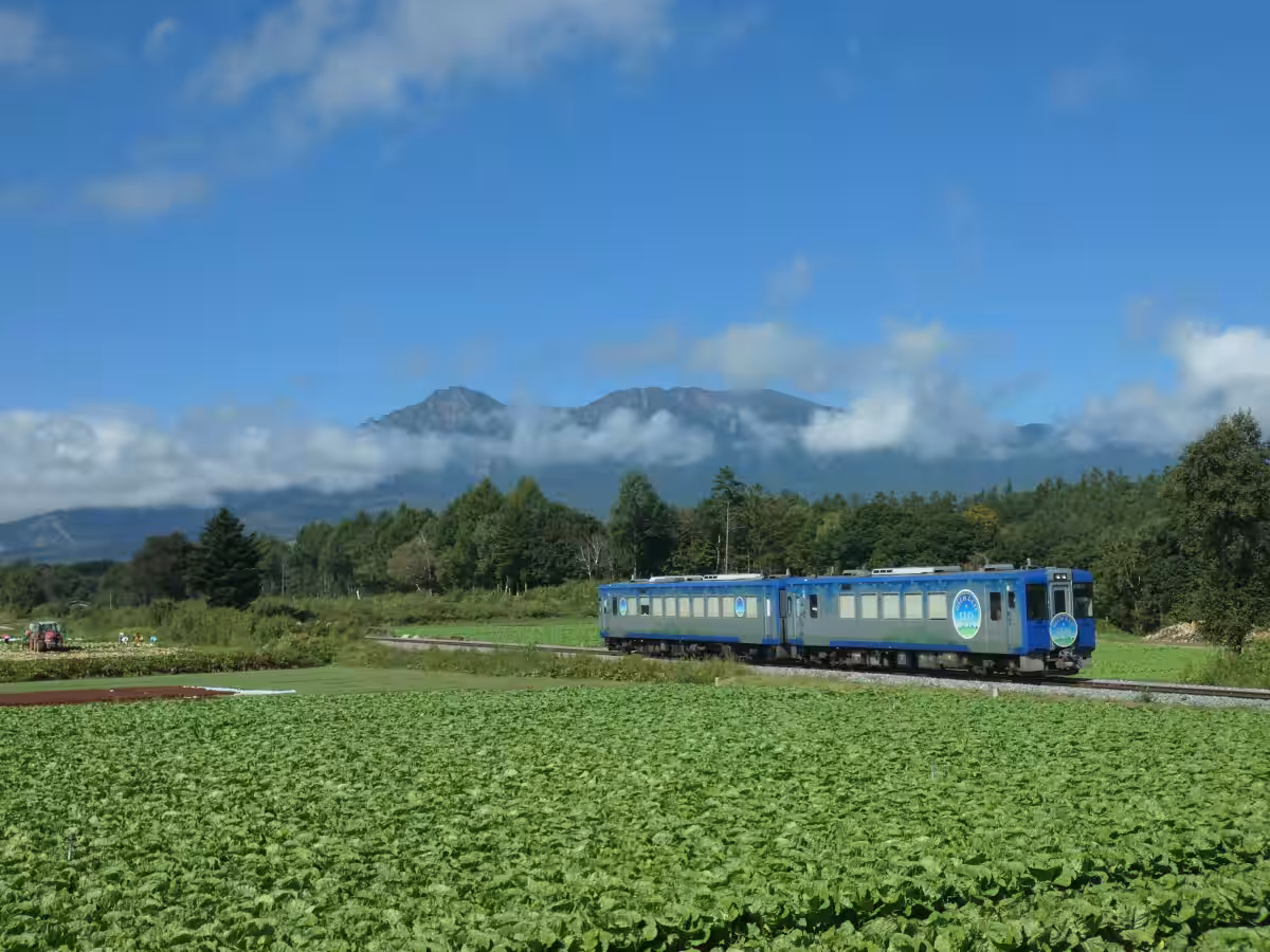 画像8