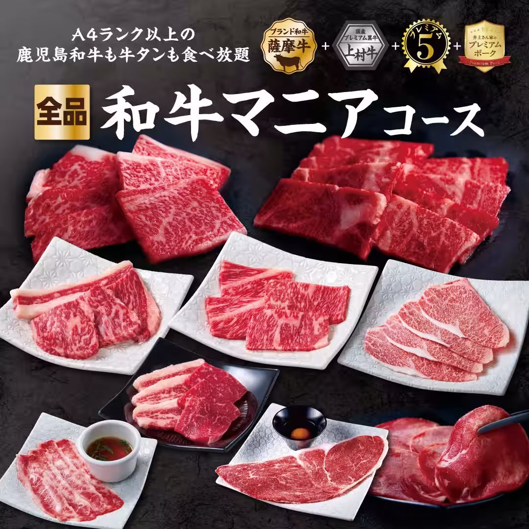 画像14