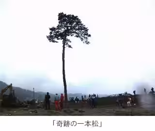 画像12