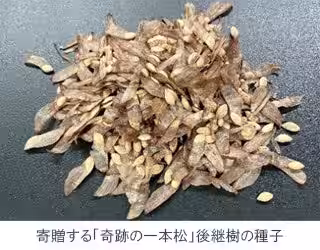 画像11
